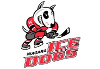 Ice Dogs Logo